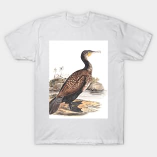 Great Cormorant by Elizabeth Gwillim T-Shirt